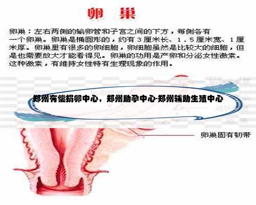 郑州有偿捐卵中心，郑州助孕中心-郑州辅助生殖中心