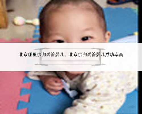 北京哪里供卵试管婴儿，北京供卵试管婴儿成功率高