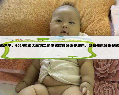 郑州代孕产子，2024郑州大学第二附属医院供卵试管费用，附郑州供卵试管医院