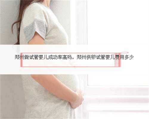 郑州做试管婴儿成功率高吗，郑州供