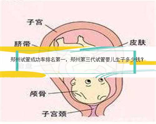 郑州试管成功率排名第一，郑州第三代试管婴儿生子多少钱？