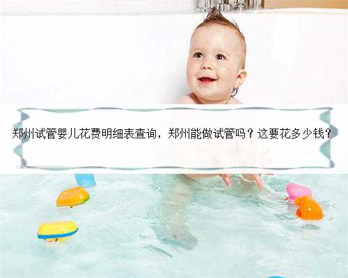 郑州试管婴儿花费明细表查询，郑州能做试管吗？这