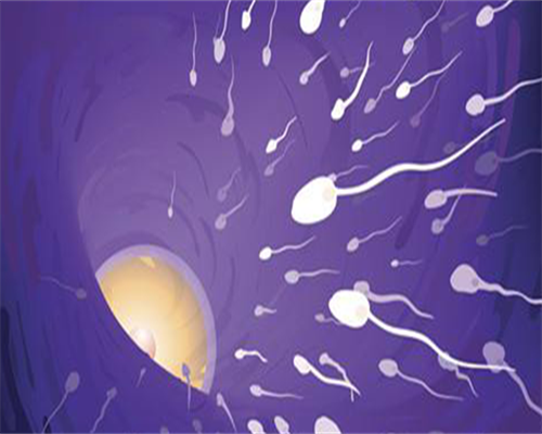 唐山供卵机构排名及个人有偿供卵借精代怀服务解析