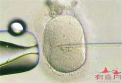 温州助孕户口问题,新生儿怎样在郑州入户