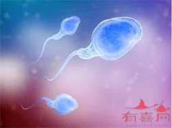 郑州哪里可以借卵,【郑州哪里有供卵】宝宝出生已经十个月啦，是个可爱的小