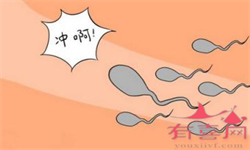 郑州高龄捐卵,郑州大学第一附属医院做三代试管捐卵