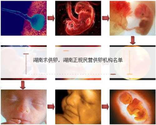 北京医院助孕全包费用-正规助孕中心